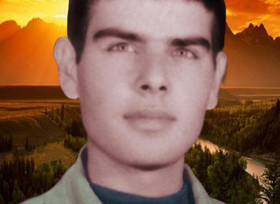 محمدعلی حسنی