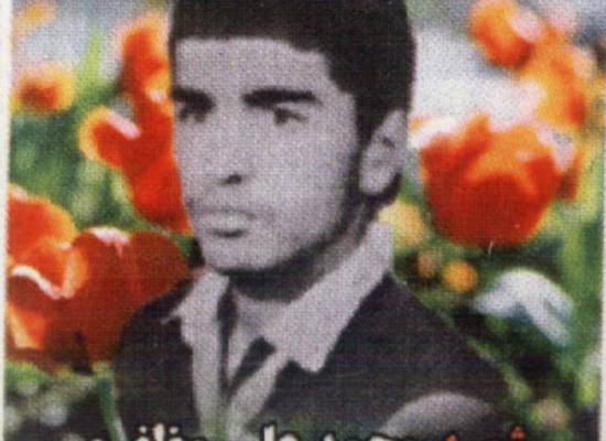 محمدعلی مظفری