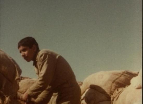 محمدعلی مومنی