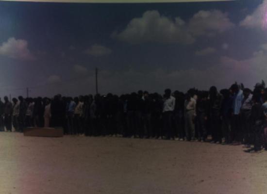 محمدعلی مومنی