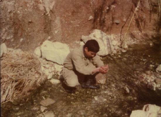 محمدعلی مومنی