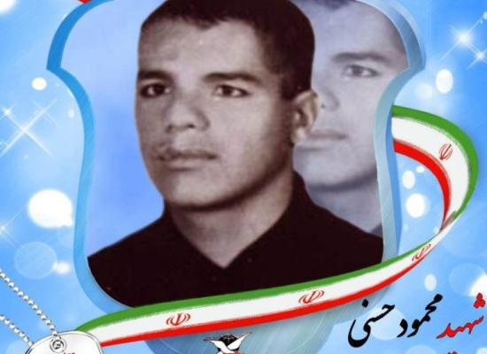 محمود حسنی