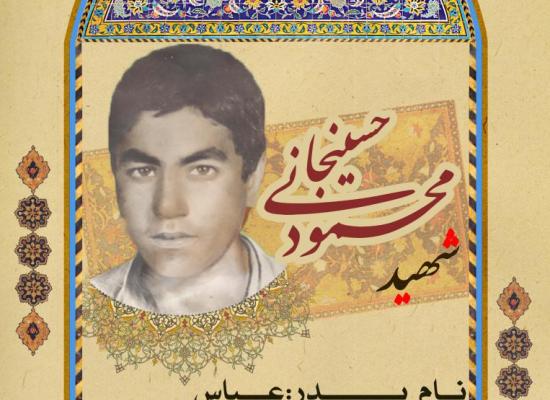 محمود حسینجانی عقیل آبادی