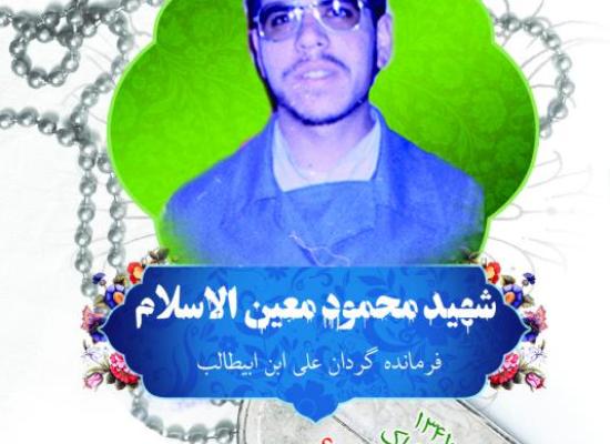 محمود معین الاسلام