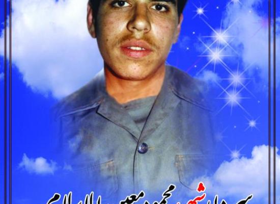 محمود معین الاسلام