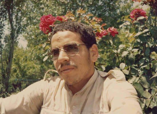 محمود معین الاسلام