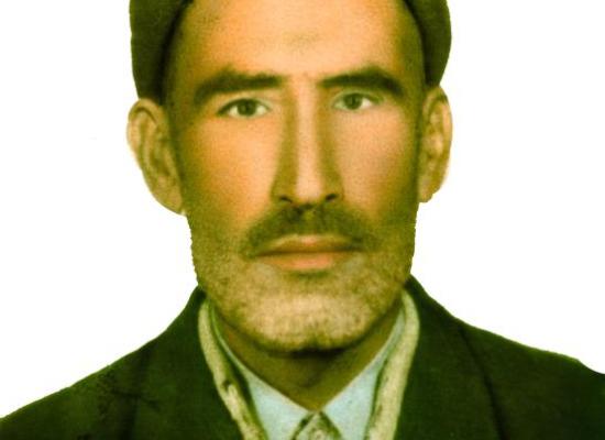 محمود ملک زاده