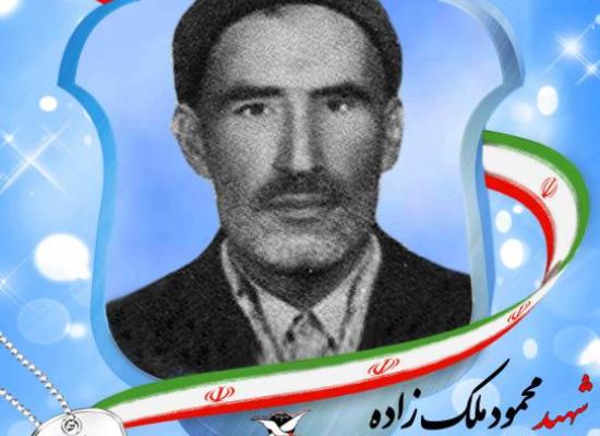 محمود ملک زاده