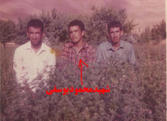 محمود یوسفی