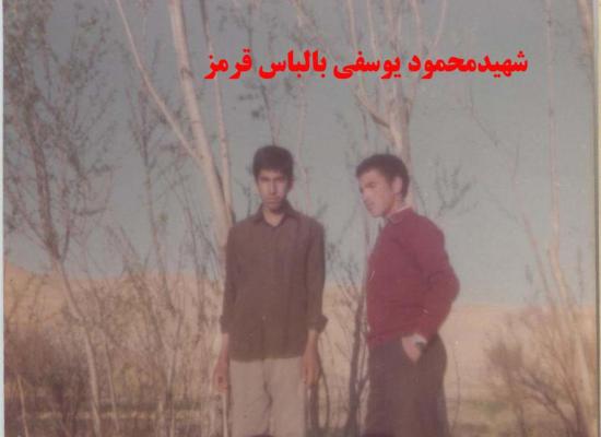 محمود یوسفی
