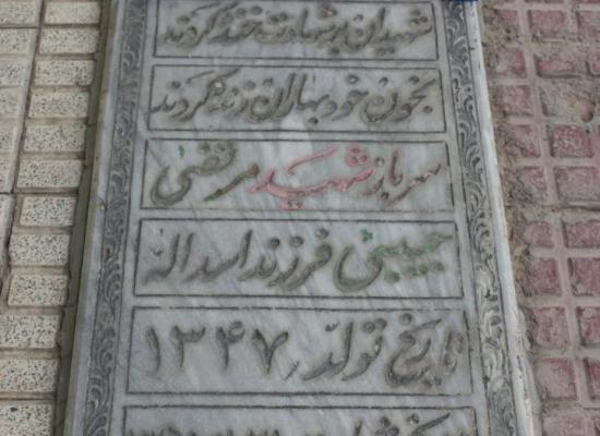 مرتضی حبیبی