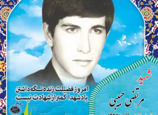 مرتضی حبیبی