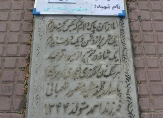 منصور شعبانی