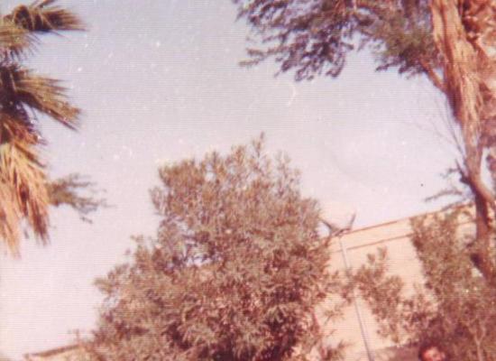 مهدی سلیمی