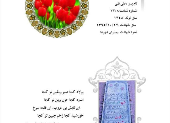 مژگان فلاح عراقی