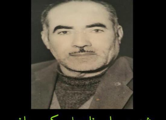 نادعلی کمیجانی