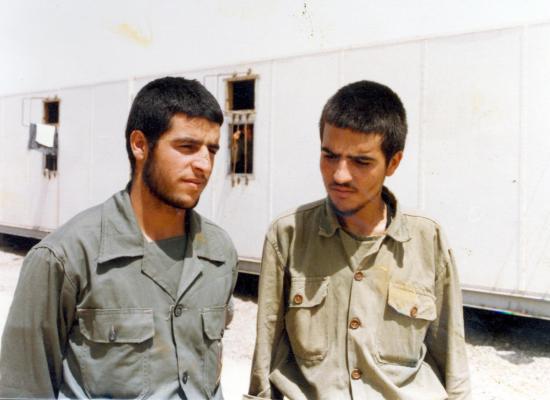 ناصر فیضی