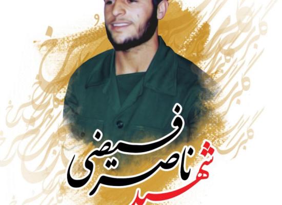ناصر فیضی
