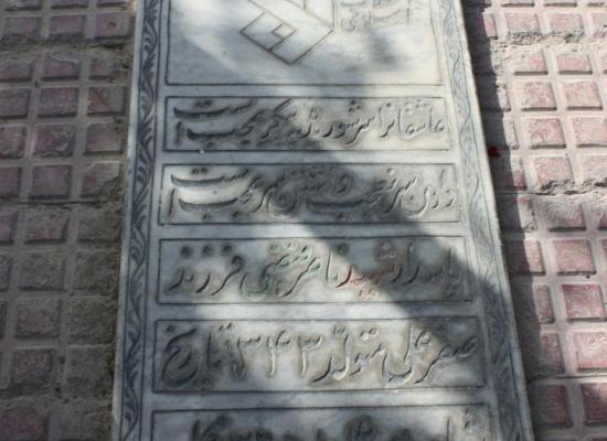 ناصر فیضی