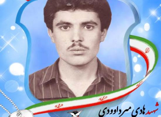 هادی میرداودی