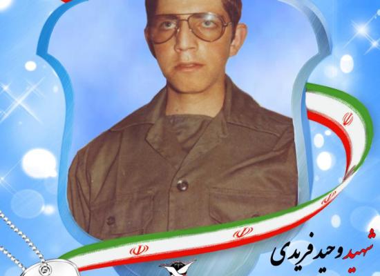 وحید فریدی