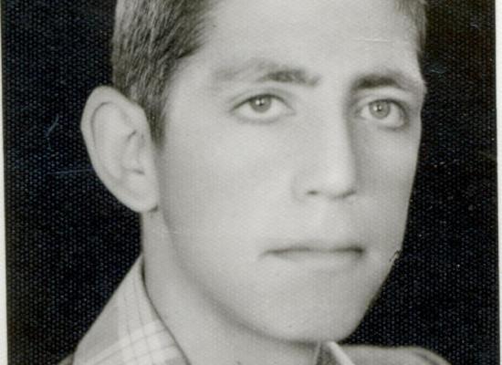 وحید فریدی