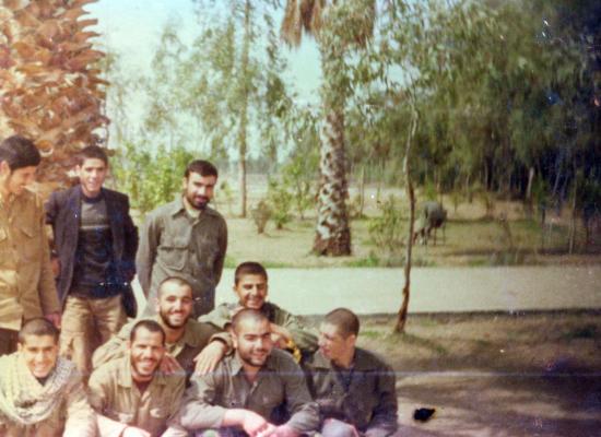 وحید فریدی