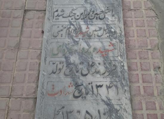 پروانه حمزه