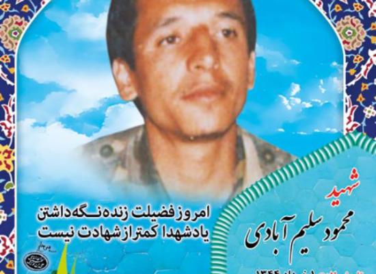 محمود  سلیم‌آبادی فراهانی