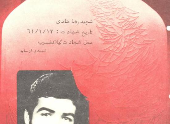 رضا منادی