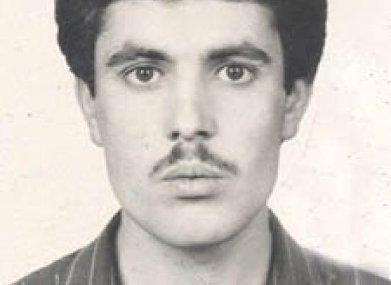 هادی میرداودی