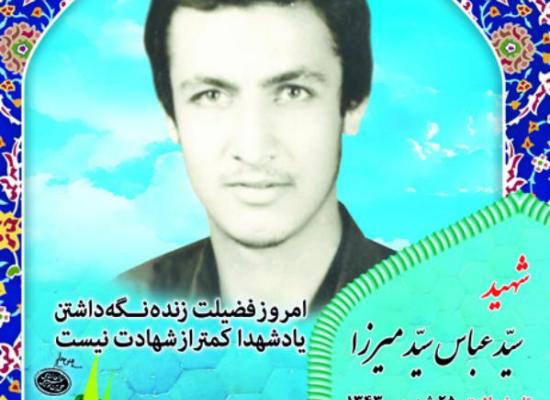 سید عباس سیدمیرزا