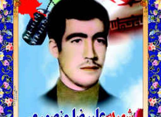 علیرضا منصوری گواری