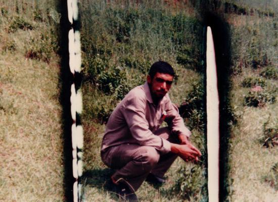 اسماعیل علی بیگی