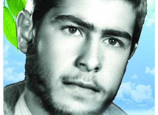 محمد کمالی مقدم