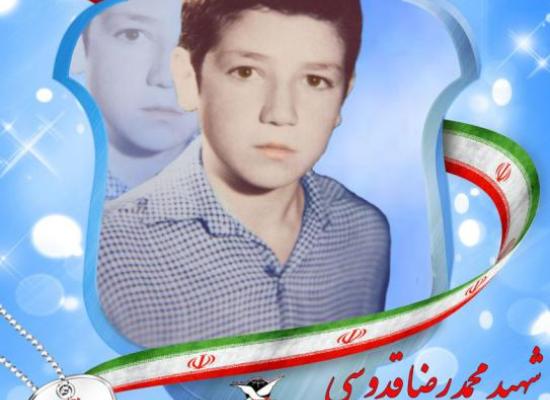 محمدرضا قدسی سنجانی