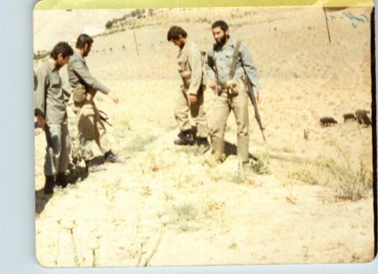 محمدعلی قجری