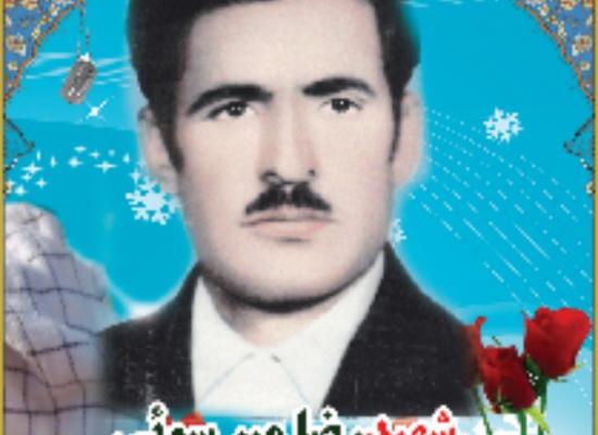 رضا میرسلیمی