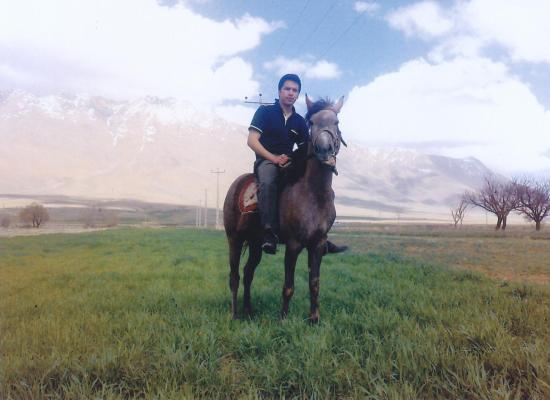 رضا نظری
