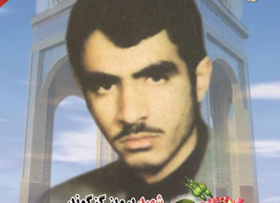 پرویز گرگوند