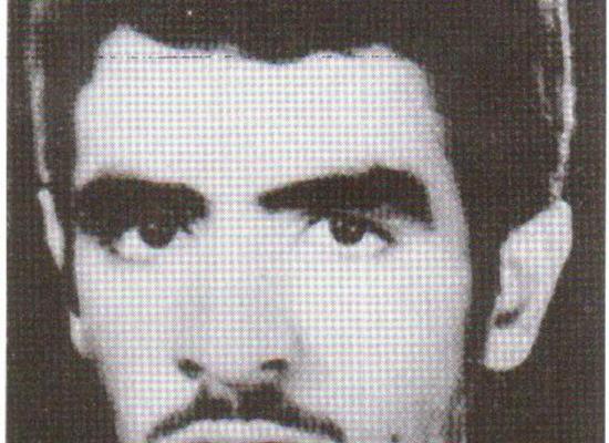 پرویز گرگوند