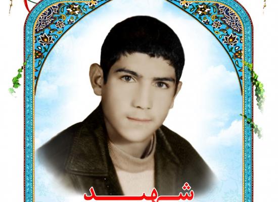  حمیدرضا حسنی
