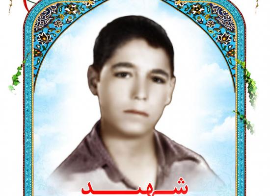 سیاوش حسنی