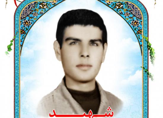 محمدعلی حسنی
