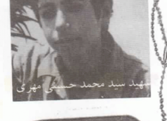 سید محمدعلی حسینی