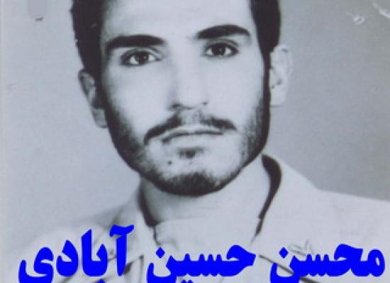 محسن حسین آبادی