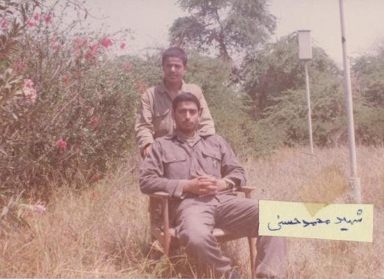محمد حسنی