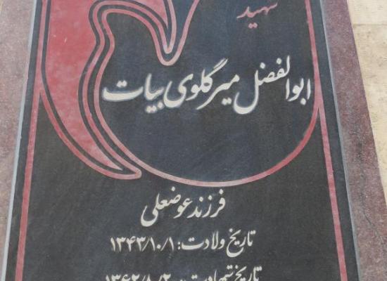 ابوالفضل میرگلوبیات