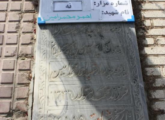 احمد محمدامین