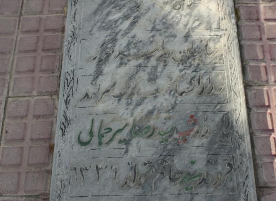 سید رضا میرجمالی